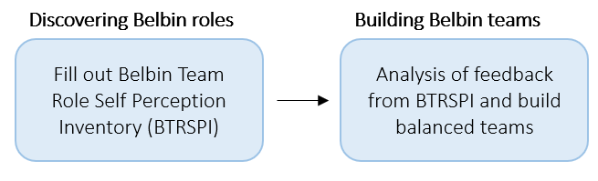 File:Belbins roles.png