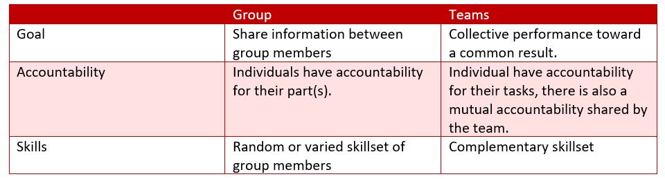 Group vs team
