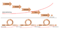 Thumbnail for version as of 22:51, 21 February 2021