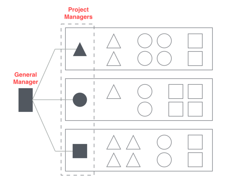 File:Project-based-org.png