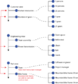 Thumbnail for version as of 17:20, 21 February 2019