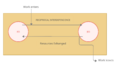 Thumbnail for version as of 16:58, 14 February 2022