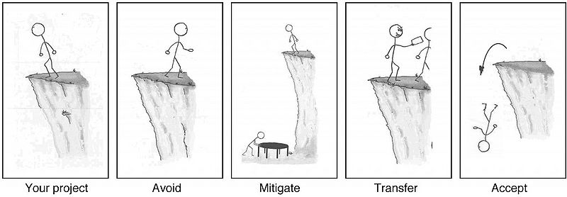 File:Risk-management-options.jpeg