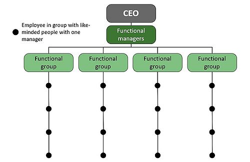Figure 1: Model displaying the structure of a functional organization. The models is created by the author of this article and is based on content from "Essentials of Contemporary Management" [1]