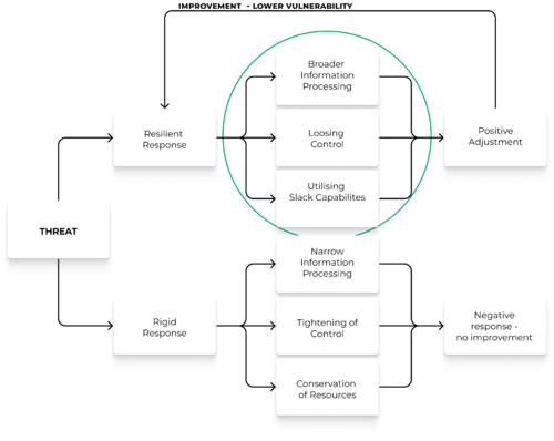 Resilience and rigid response