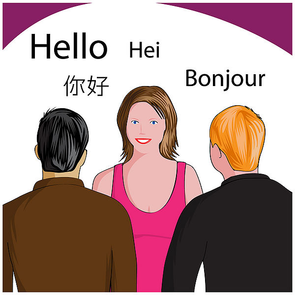 File:Usage of foreing languages.jpg