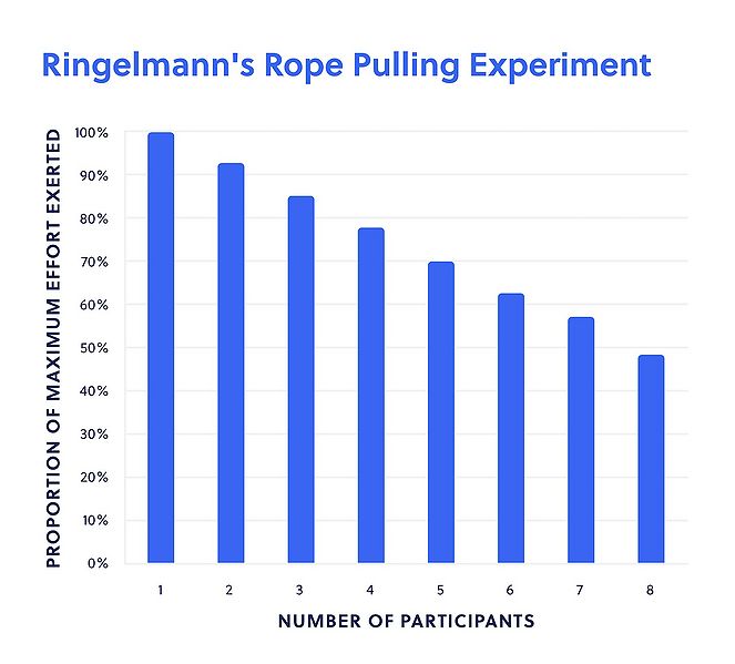 File:Ringelmanns-Rope-Pulling-Experiment.jpg
