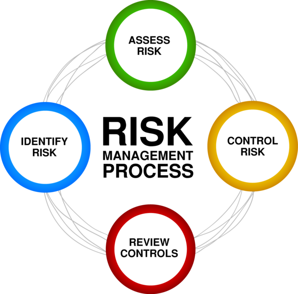 File:Riskmanpro.png