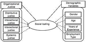 Possible Reasons for Social Loafing[1]]