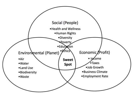Figure 1: The triple Bottom Line