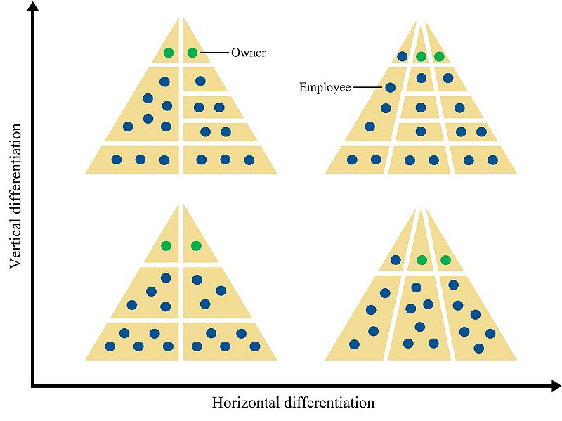 File:Differentiation.jpg