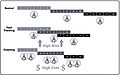 Thumbnail for version as of 12:07, 21 February 2021