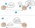 Thumbnail for version as of 16:20, 23 February 2021