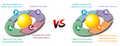Thumbnail for version as of 16:35, 9 February 2023