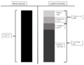 Thumbnail for version as of 16:47, 18 March 2022