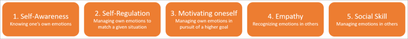 File:EI Model Goleman.png