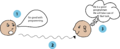 Thumbnail for version as of 16:20, 23 February 2021