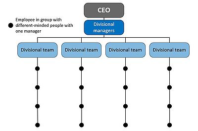 Figure 2: Model displaying the structure of a divisional organization. The models is created by the author of this article and is based on content from "Essentials of Contemporary Management" [1]