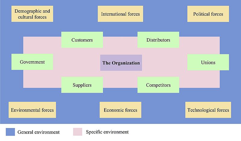 File:Organization environment forces.jpg
