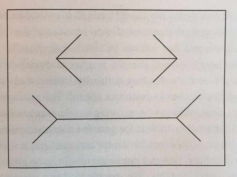 File:Mlillusion.JPG