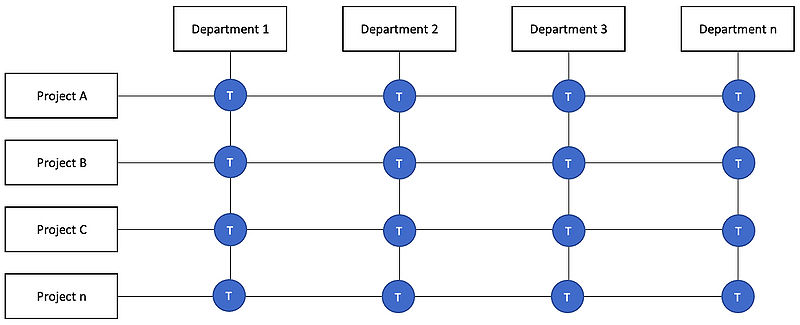 File:Organisation.jpeg