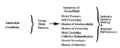 Thumbnail for version as of 14:30, 8 April 2023