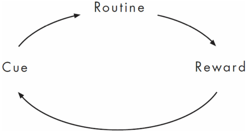 File:TheHabitLoop.png