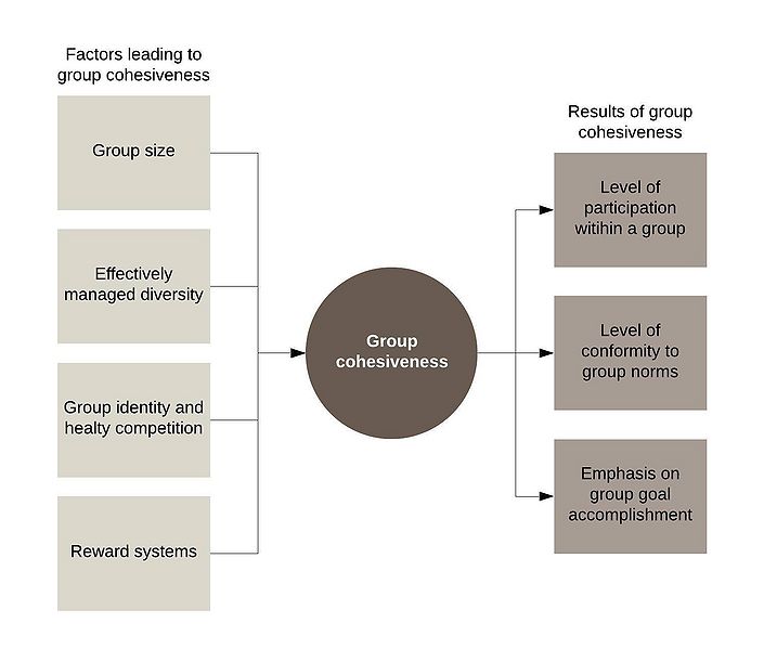 File:Cohesiveness.jpg
