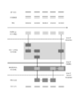 Thumbnail for version as of 00:25, 21 February 2021
