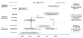 Thumbnail for version as of 07:49, 23 September 2016