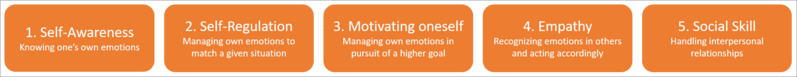 File:Goleman Model.png