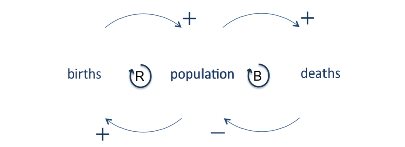 File:RB loop.png