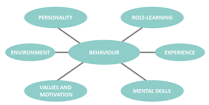 File:Belbin test.png