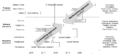 Thumbnail for version as of 08:02, 23 September 2016