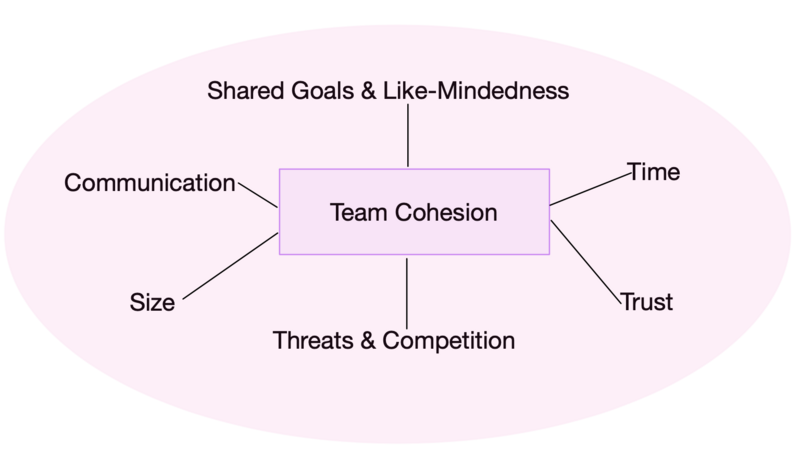 File:Team cohesion.png