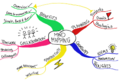 Thumbnail for version as of 19:59, 20 February 2022